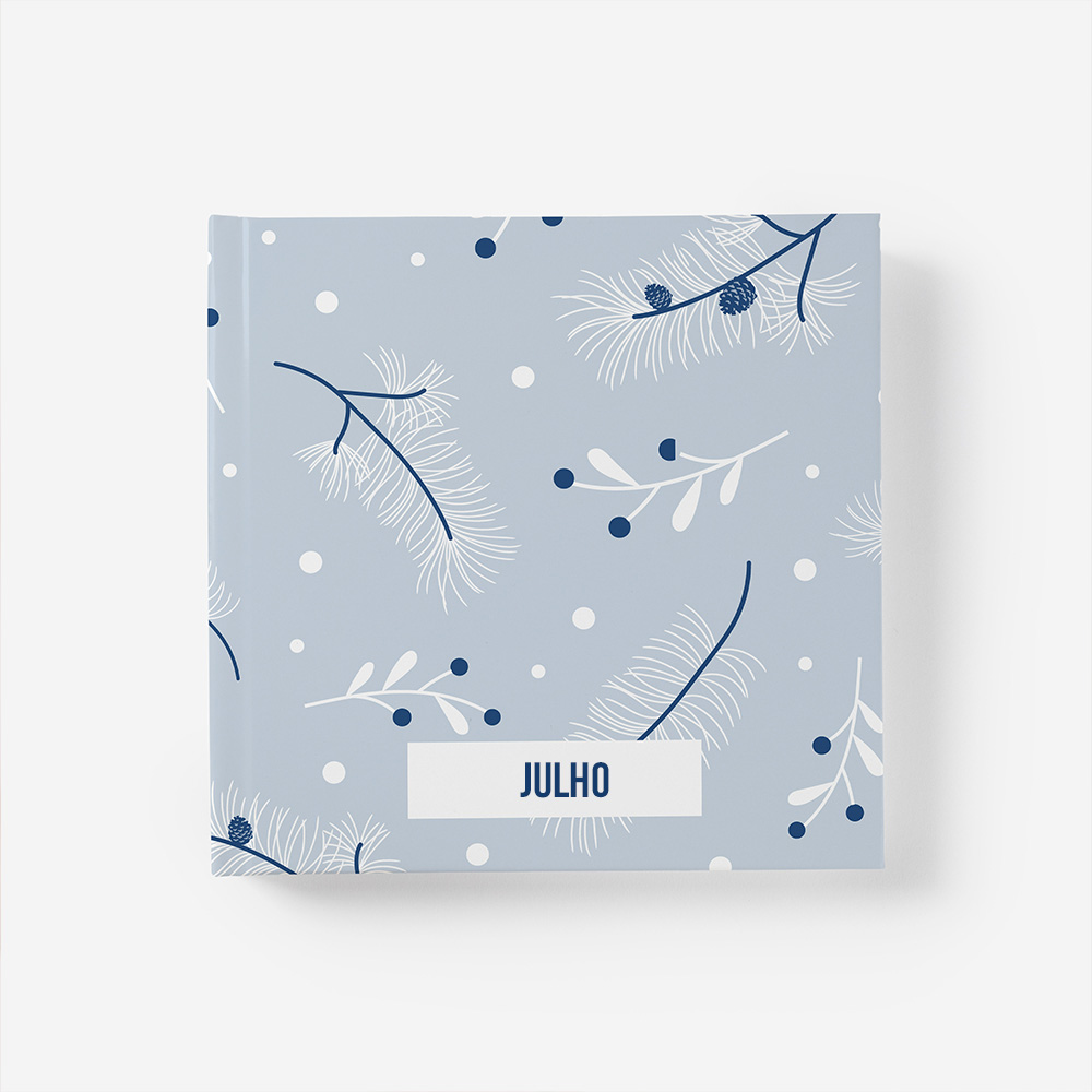 Álbum Julho 1