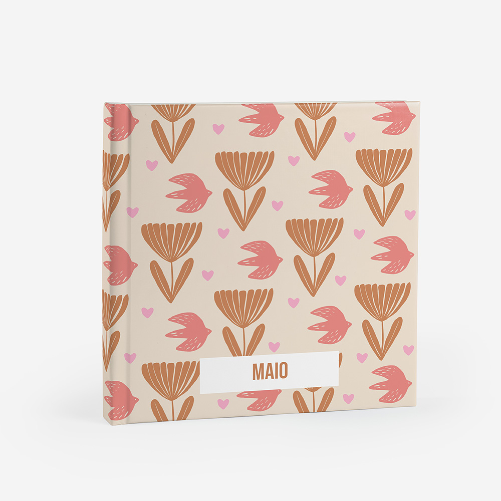 Álbum Maio 3