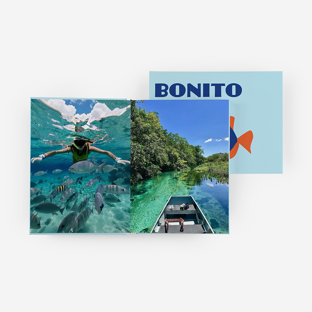 Álbum Bonito 4